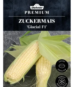 Dehner Premium Samen Zuckermais 'Glacial F1' Outlet
