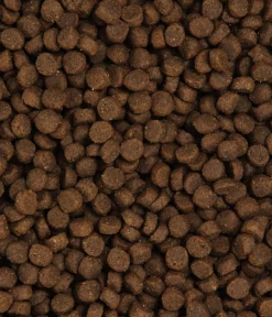 Dehner Premium Trockenfutter Katze > Trockenfutter für Katzen Active/Outdoor Adult, Huhn