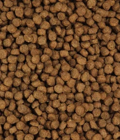 Dehner Premium Trockenfutter Katze > Trockenfutter für Katzen Light Senior, Geflügel