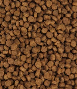 Dehner Premium Trockenfutter für Katzen Adult