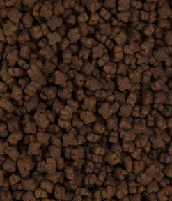Dehner Premium Trockenfutter für Katzen Kitten, Huhn Hot