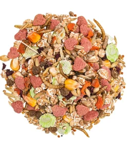 Dehner Premium Zwerghamsterfutter, 750 g Best