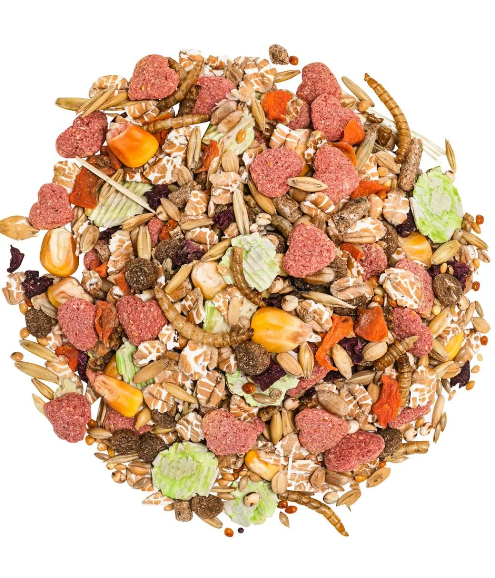 Dehner Premium Zwerghamsterfutter, 750 g Best