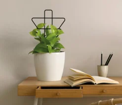 Dehner Mehr Blumentopfzubehör - Rankhilfe-Set Geometrisch, 2-teilig Schwarz
