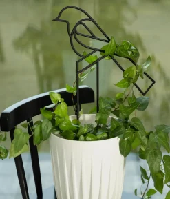 Dehner Mehr Blumentopfzubehör > Rankhilfe-Set Vogel, 2-teilig