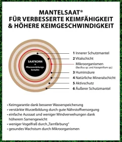 Dehner Rasensamen - Rasenfix
