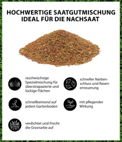 Dehner Rasensamen > Rasen-Nachsaat