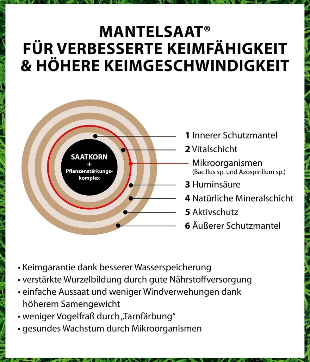 Dehner Rasensamen - Rasen-Regeneration