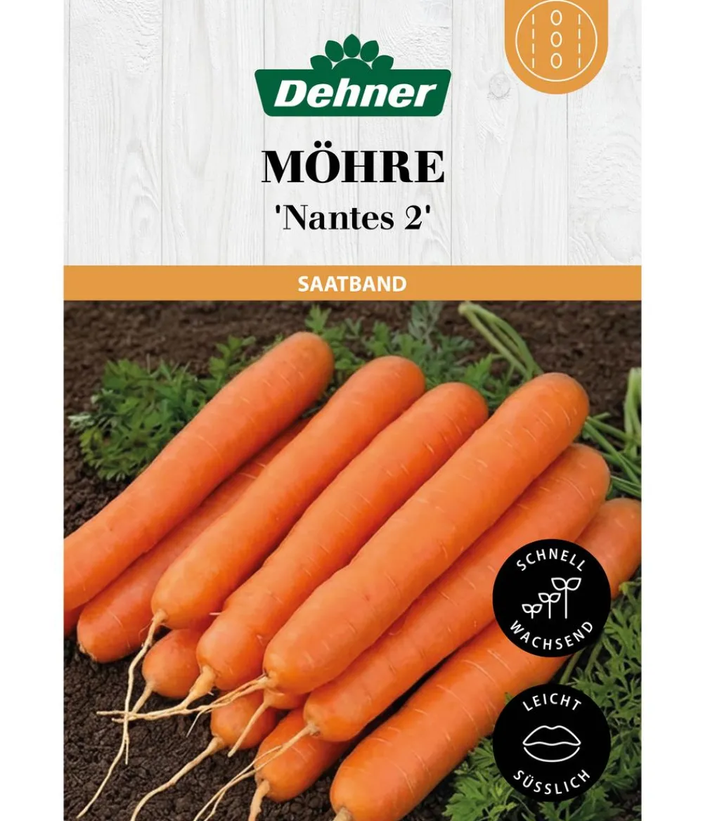 Dehner Gemüsesamen > Saatband Möhre 'Nantes 2', L5 m