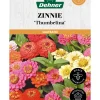 Dehner Saatband Zinnie 'Thumbelina', L5 m New