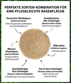 Dehner Saatgut Mikroklee-Rasen Clearance