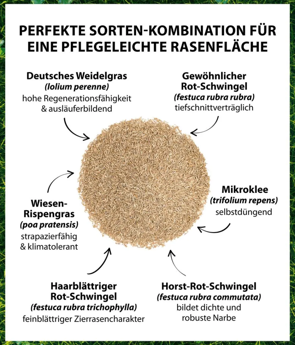 Dehner Rasensamen - Saatgut Mikroklee-Rasen
