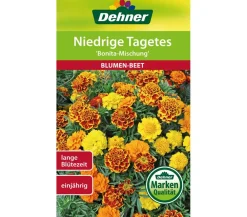 Dehner Saatgut Niedrige Tagetes 'Bonita Mischung' Bunt Online