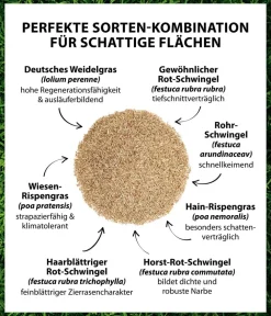 Dehner Saatgut Schattenrasen Sale
