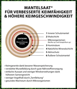 Dehner Saatgut Schattenrasen Sale