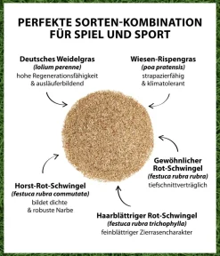 Dehner Rasensamen - Saatgut Spiel- und Sportrasen