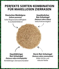 Dehner Saatgut Traumrasen Clearance