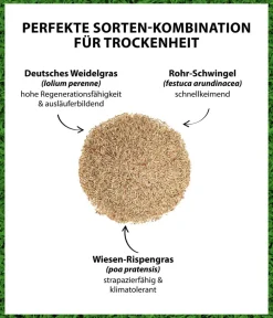Dehner Saatgut Trockenrasen Best
