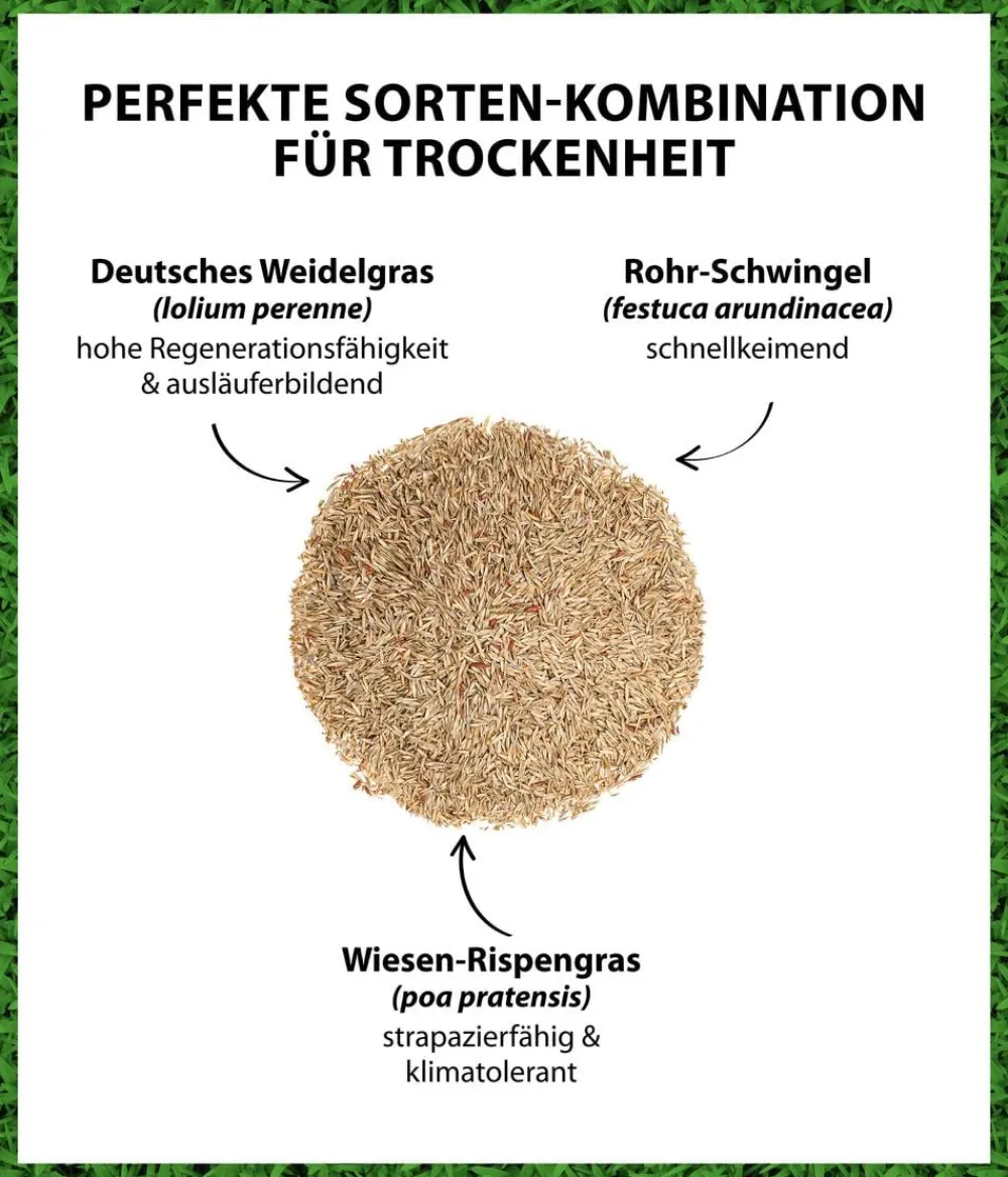 Dehner Saatgut Trockenrasen Discount