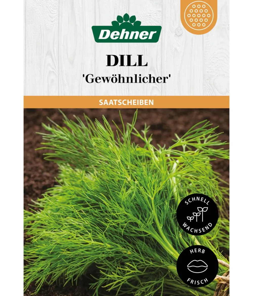 Dehner Kräutersamen > Saatscheiben Dill 'Gewöhnlicher', 3 Stück à Ø 8 cm