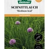 Dehner Kräutersamen - Saatscheiben Schnittlauch 'Medium leaf', 3 Stück à Ø 8 cm