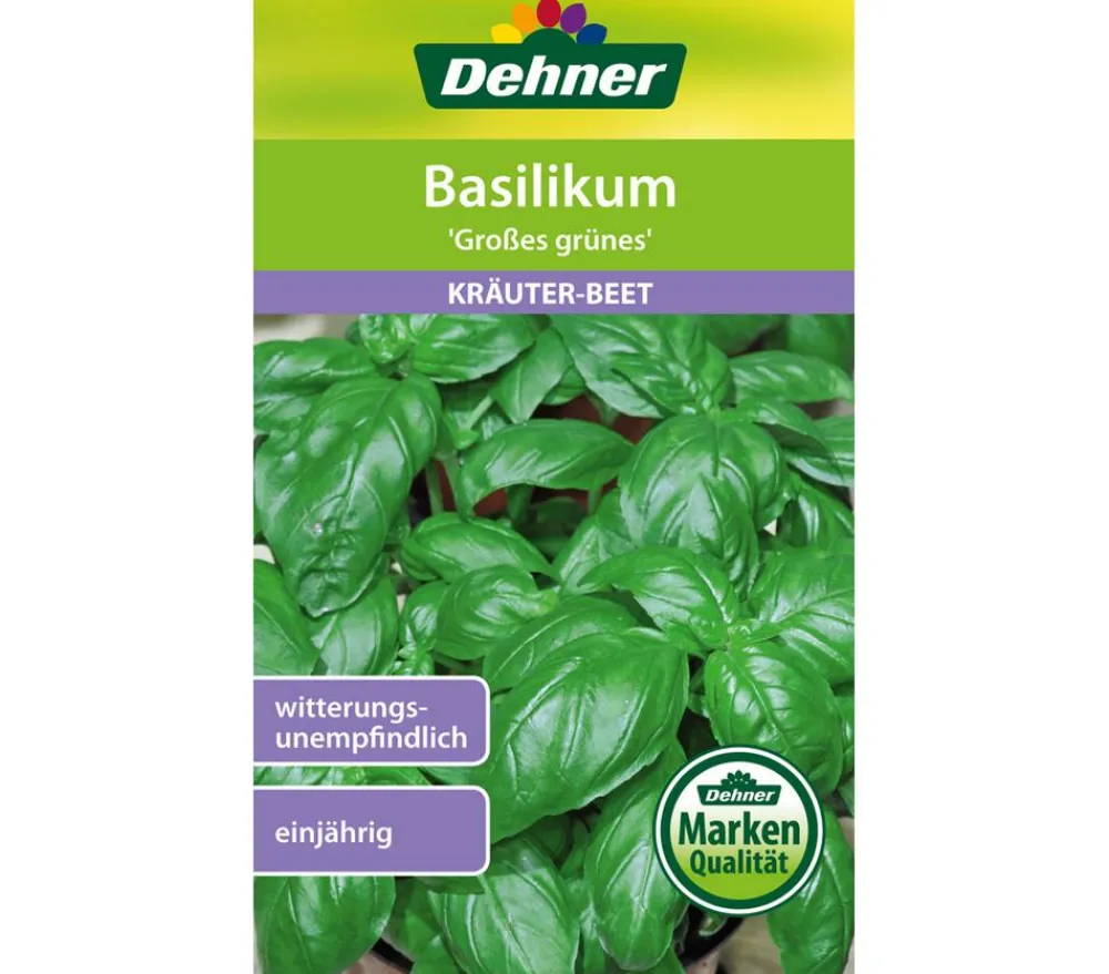 Dehner Kräutersamen > Samen Basilikum 'Großes grünes'