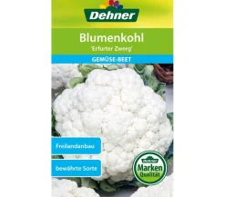 Dehner Samen Blumenkohl 'Erfurter Zwerg' New