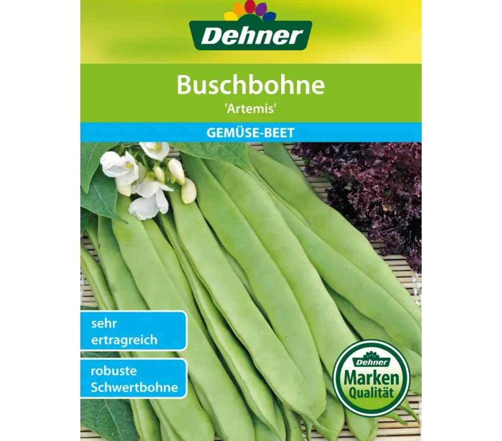 Dehner Gemüsesamen - Samen Buschbohne 'Artemis'