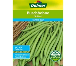 Dehner Gemüsesamen - Samen Buschbohne 'Brilliant'