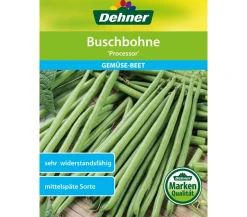 Dehner Samen Buschbohne 'Processor' Best