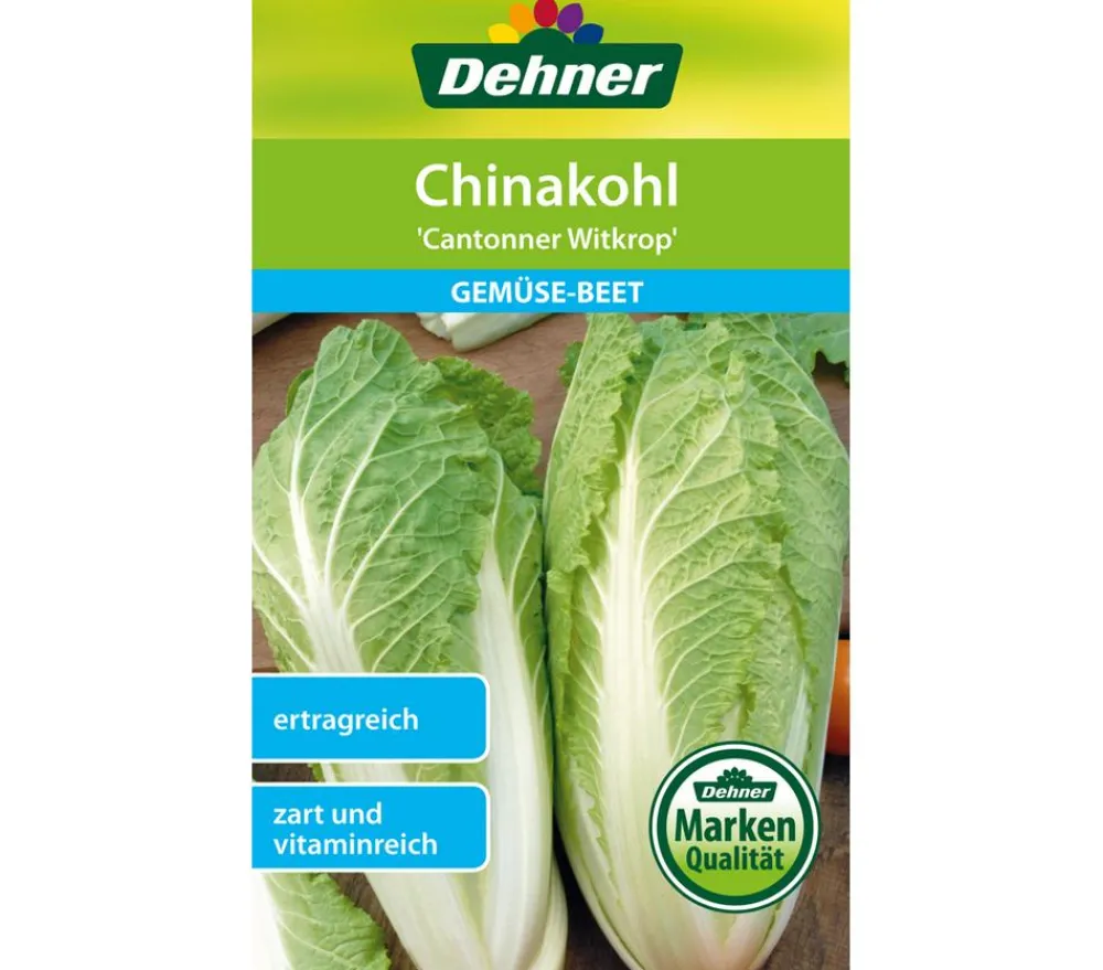 Dehner Samen Chinakohl 'Cantonner Witkrop' New