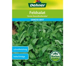 Dehner Gemüsesamen > Samen Feldsalat 'Grote Noordhollandse'