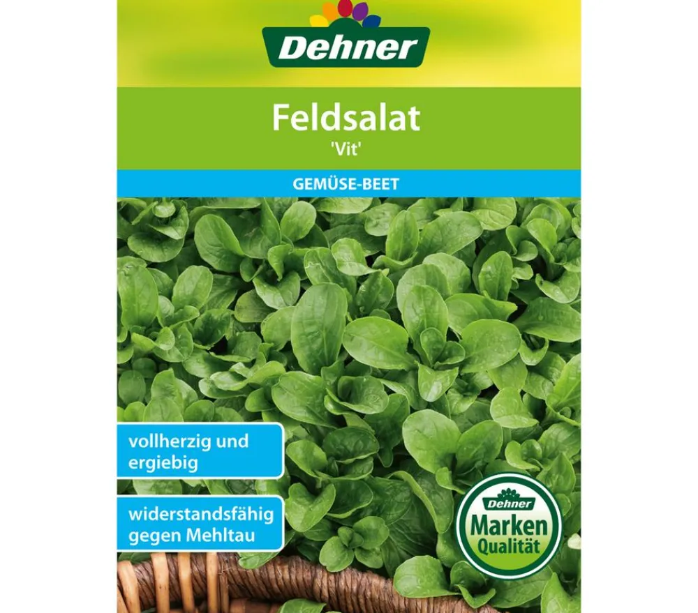 Dehner Gemüsesamen - Samen Feldsalat 'Vit'