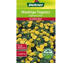 Blumensamen > Dehner Samen für Niedrige Tagetes 'Zigeunersonne'