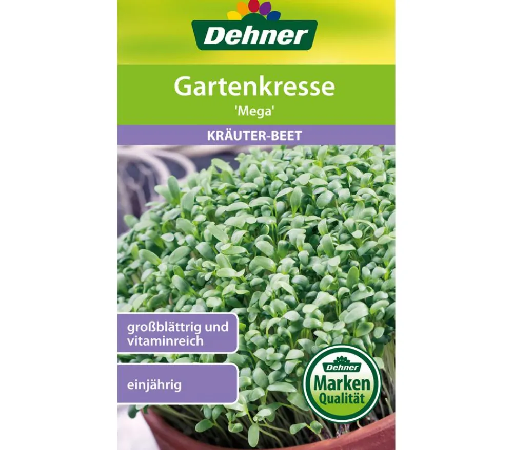 Dehner Kräutersamen > Samen Gartenkresse 'Mega'
