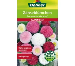 Dehner Samen Gänseblümchen 'Pomponette Mischung' Bunt Clearance