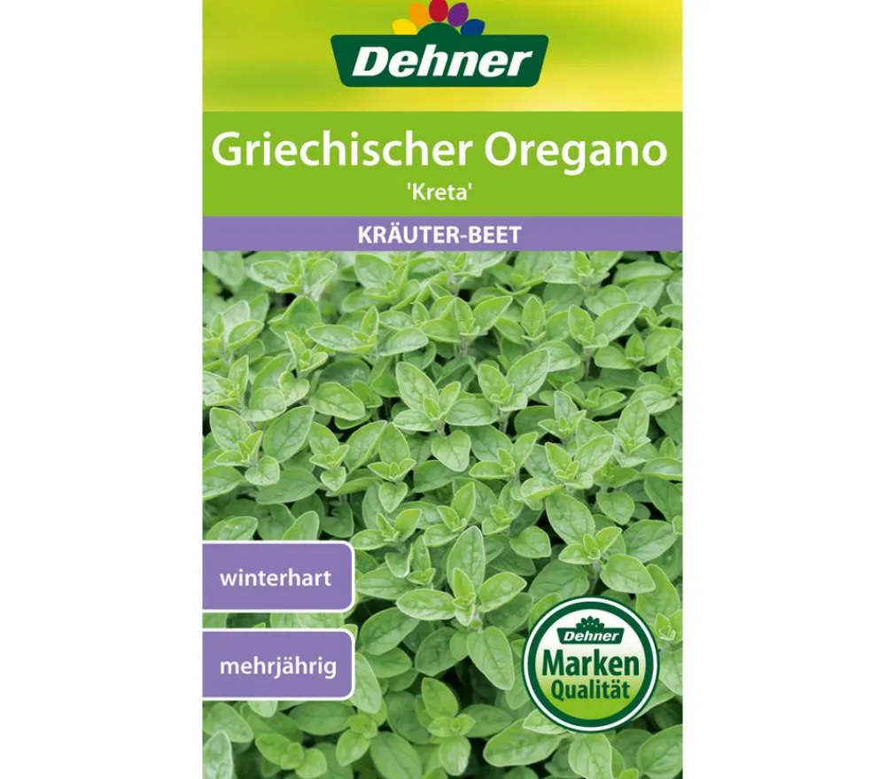 Dehner Samen Griechischer Oregano 'Kreta' Outlet