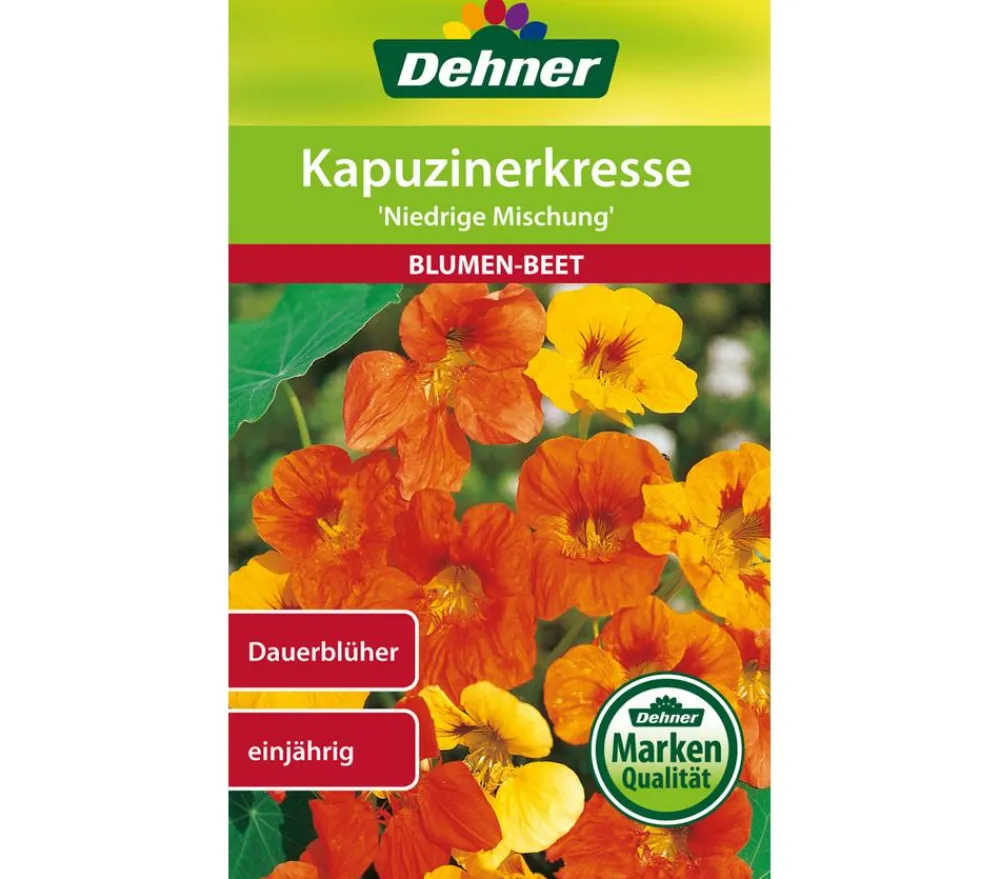 Dehner Blumensamen - Samen Kapuzinerkresse 'Niedrige Mischung' Bunt
