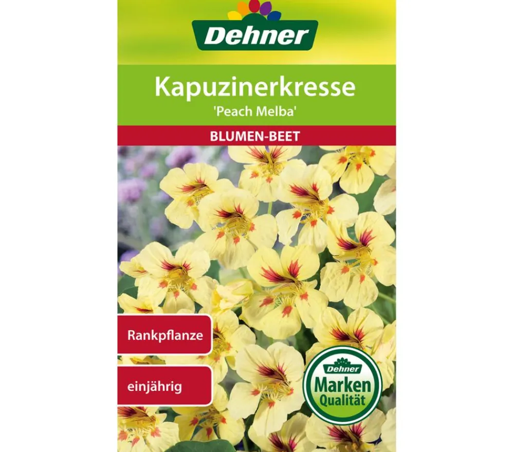 Dehner Samen Kapuzinerkresse 'Peach Melba' Clearance