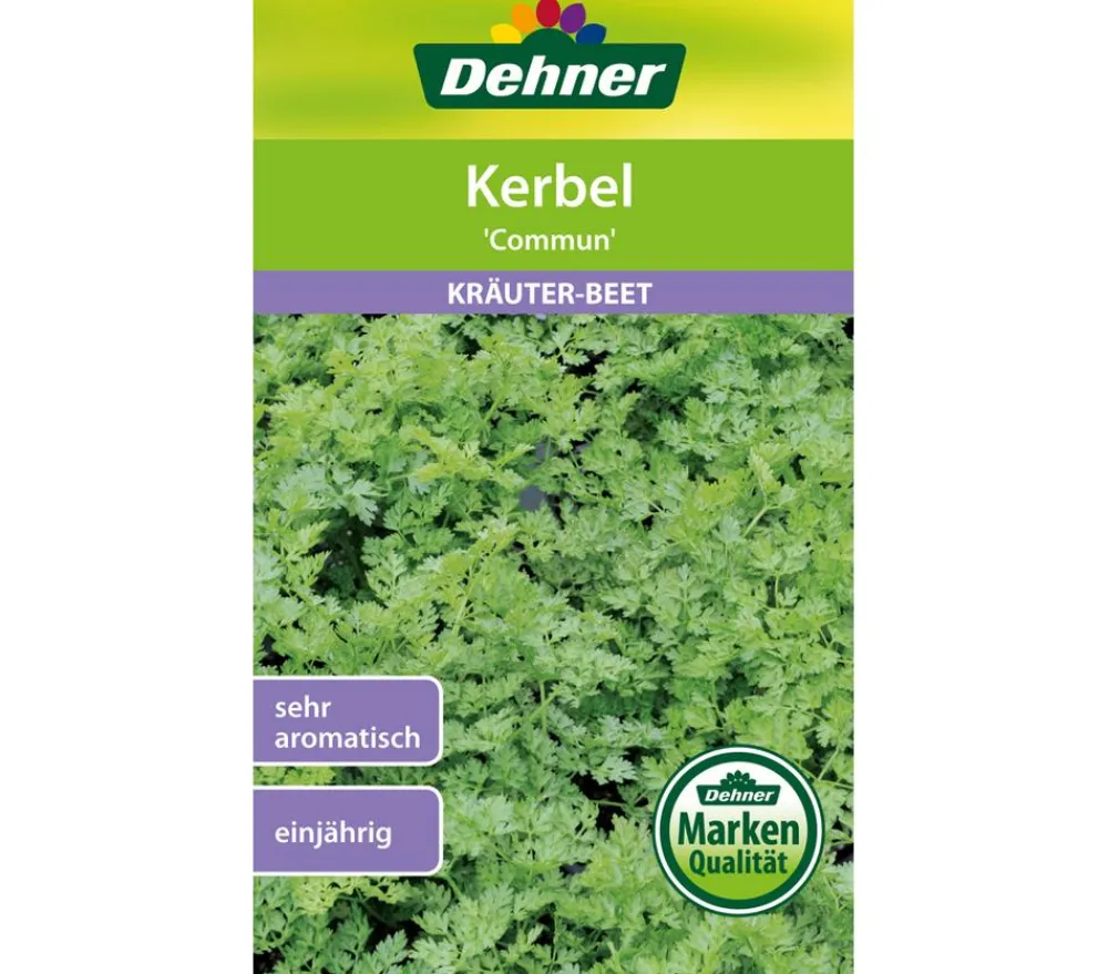 Dehner Kräutersamen > Samen Kerbel 'Commun'