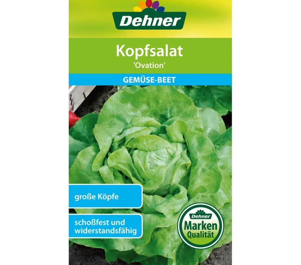 Dehner Samen Kopfsalat 'Ovation' New