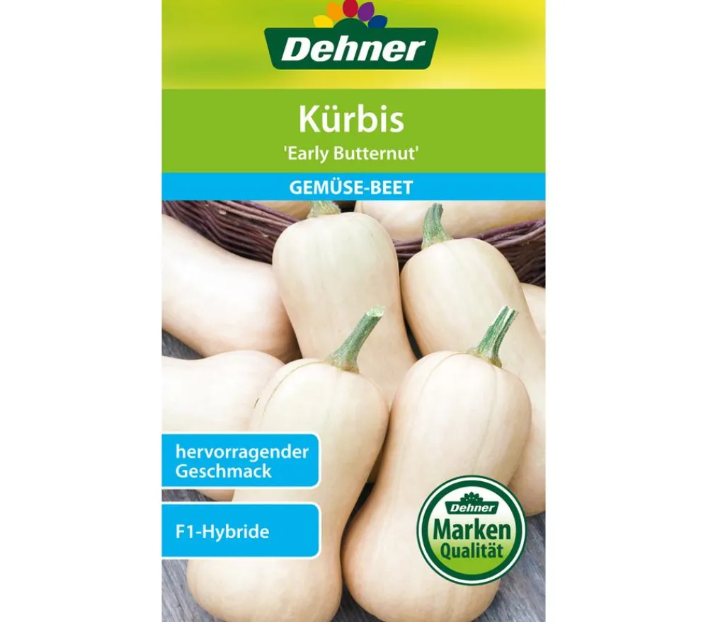 Dehner Samen Kürbis 'Early Butternut' Online