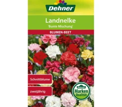 Dehner Blumensamen - Samen Landnelke 'e Mischung' Bunt
