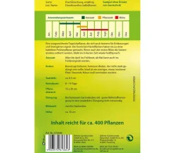 Dehner Blumensamen > Samen Mittagsblume 'Prachtmischung'