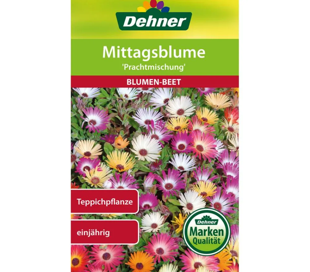 Dehner Blumensamen > Samen Mittagsblume 'Prachtmischung'
