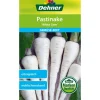 Dehner Gemüsesamen > Samen Pastinake 'White Gem'