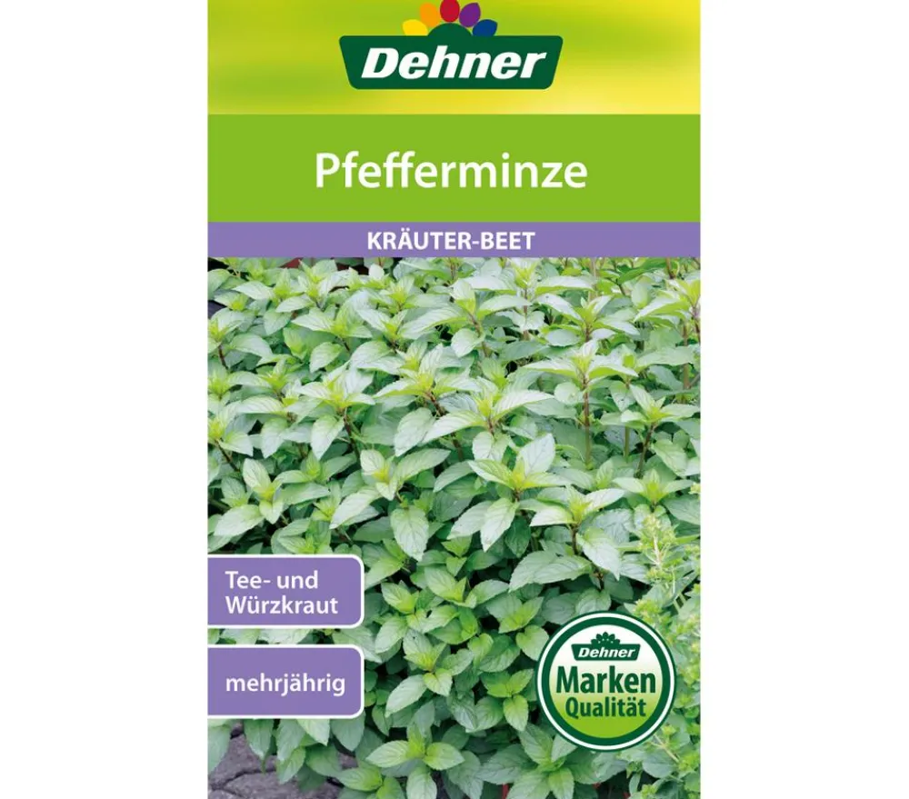 Dehner Samen Pfefferminze Outlet
