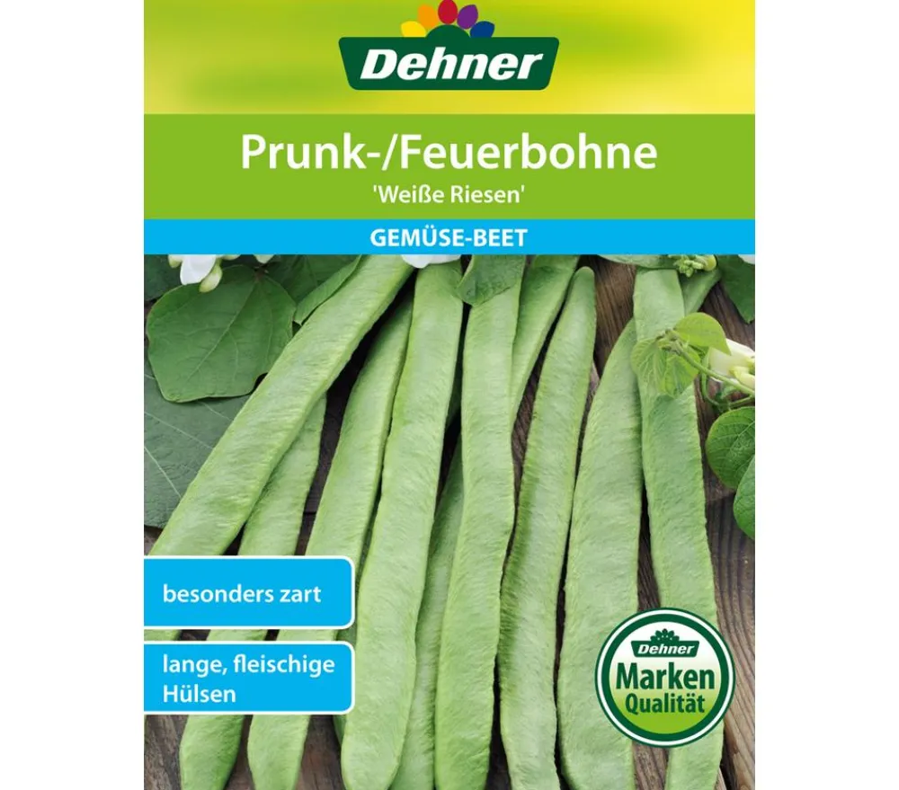 Dehner Samen Prunk-/Feuerbohne 'Weiße Riesen' Online