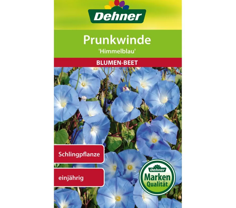 Dehner Blumensamen - Samen Prunkwinde 'Himmelblau' Hellblau