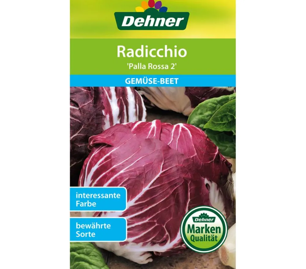 Dehner Samen Radicchio 'Palla Rossa 2' Sale